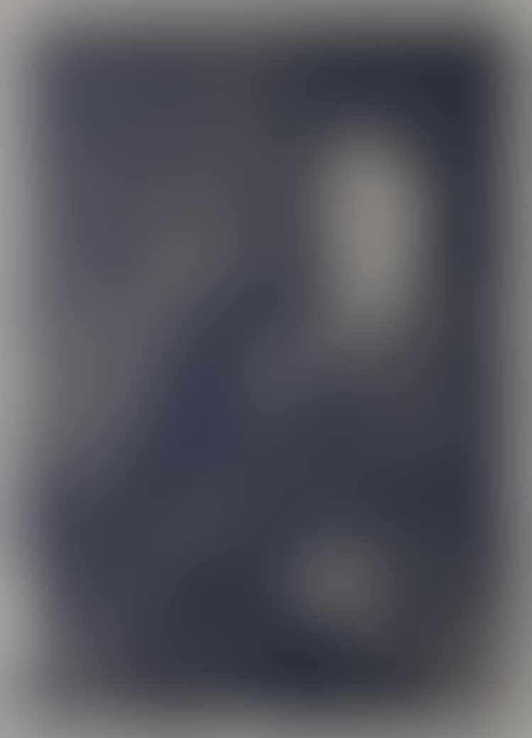 SELF PORTRAIT (preview)