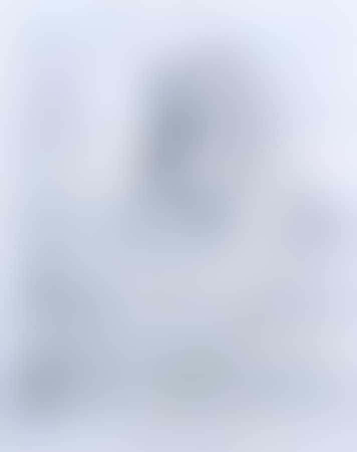 Portrait of a Woman (preview)