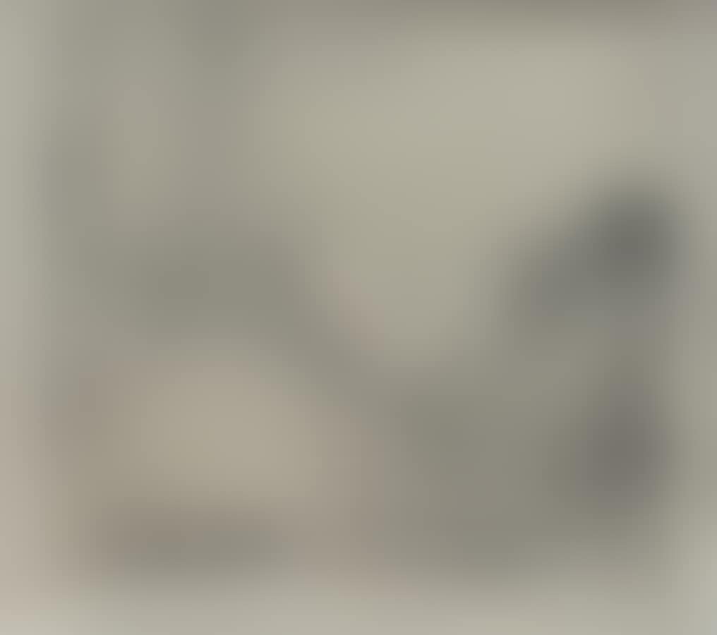 Path (preview)