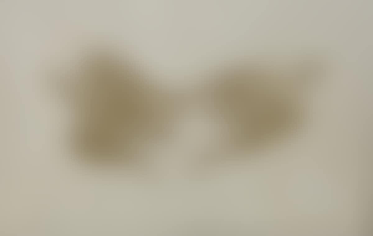Two birds in gold (preview)