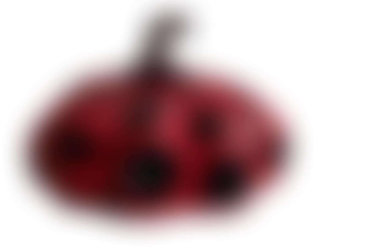 Red pumpkin. Naoshima (preview)