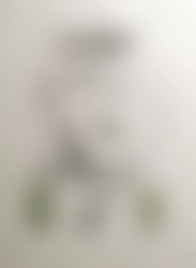 Flies (preview)