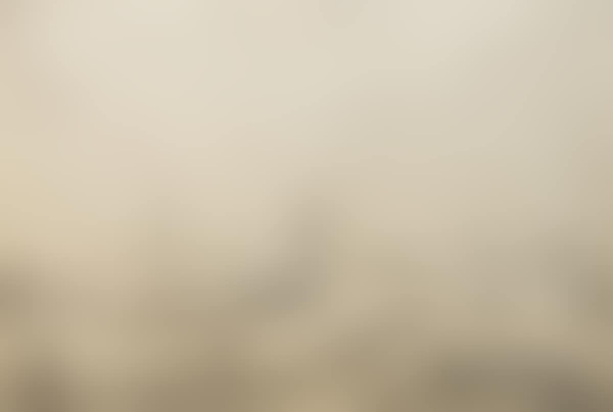 Dutch Landscape (preview)