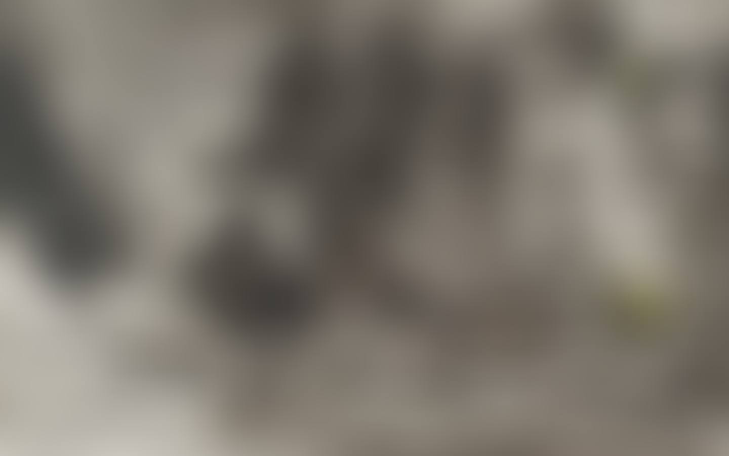 "Composition" 71 (preview)