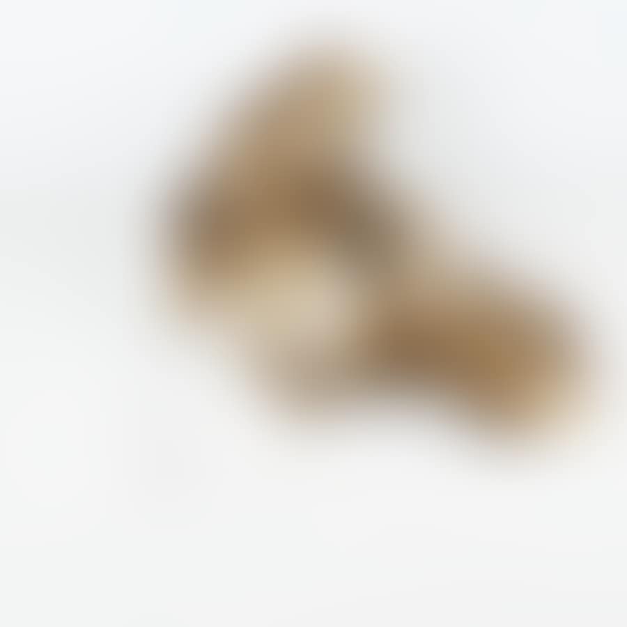 "Magnetic evidence 1983" (preview)