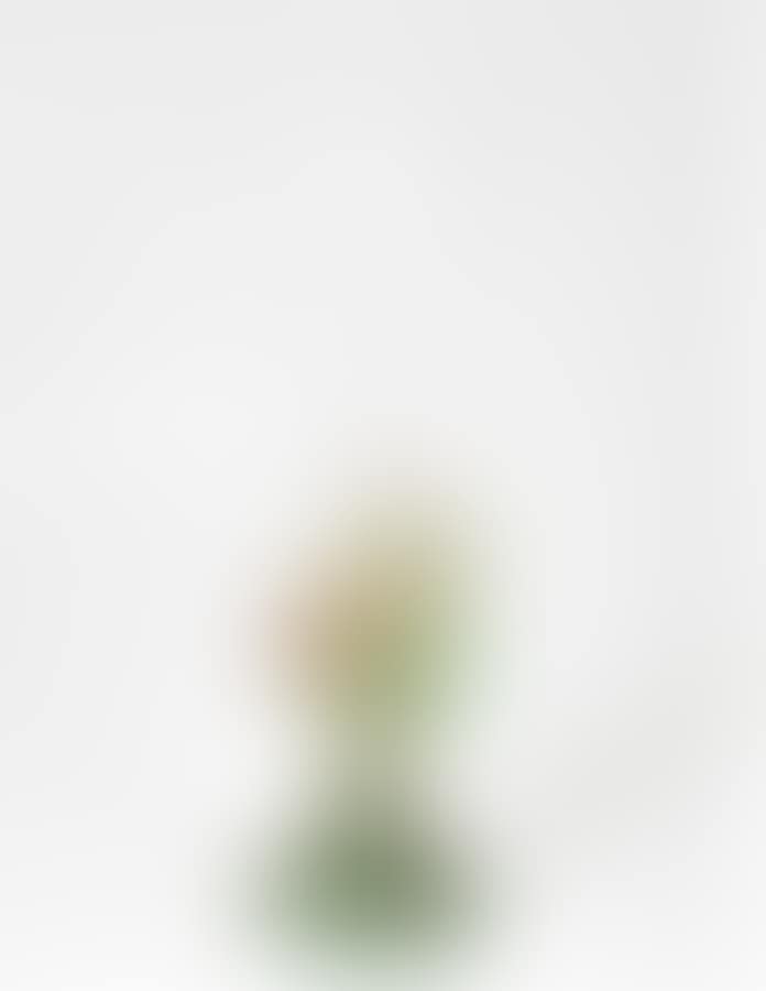 Cornet vase (preview)