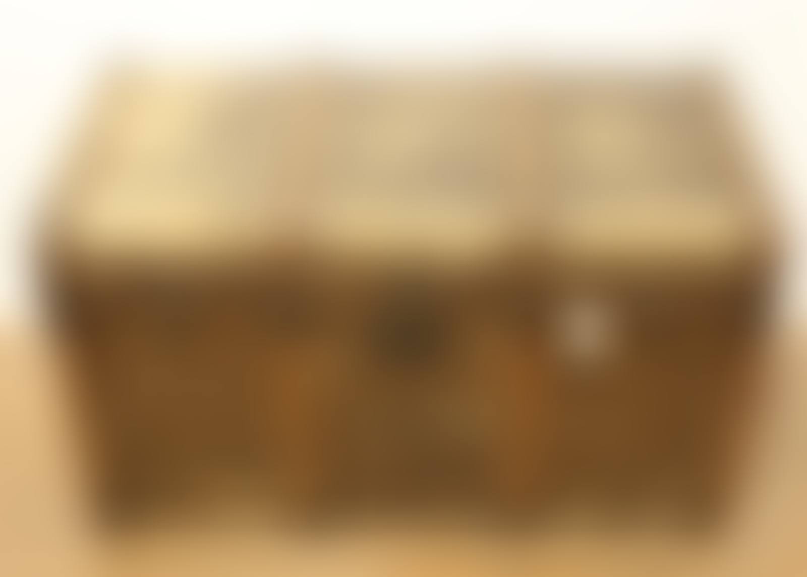 Travel trunk (preview)