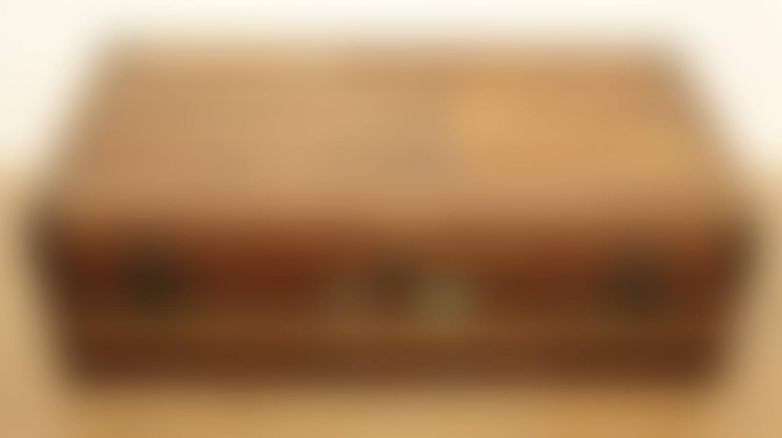 Travel trunk (preview)