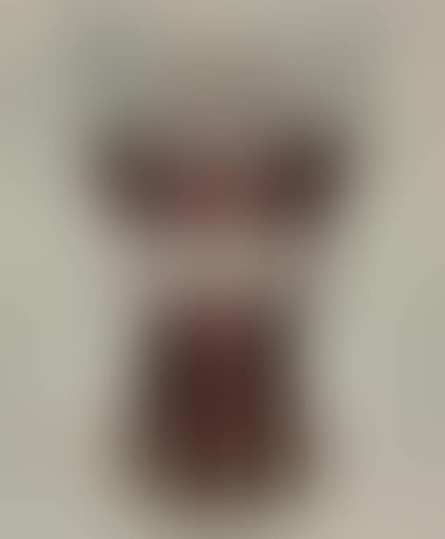 Vase (preview)