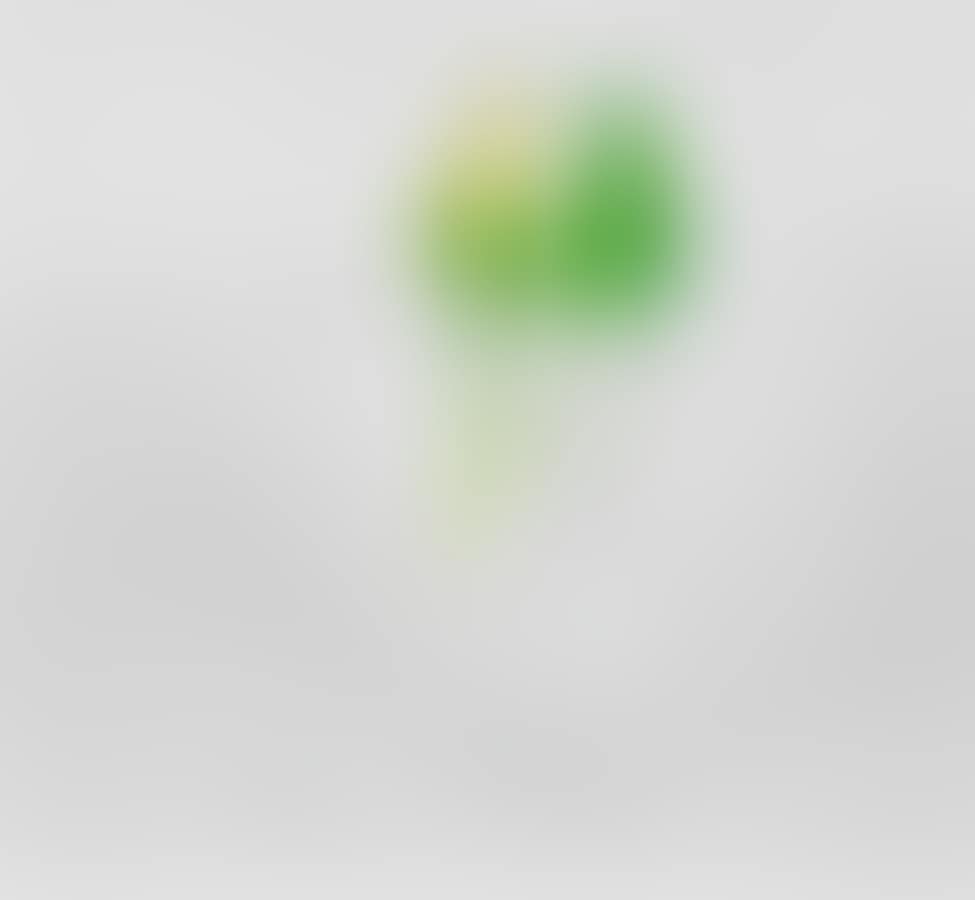 "Couple of trendy parakeets" (preview)
