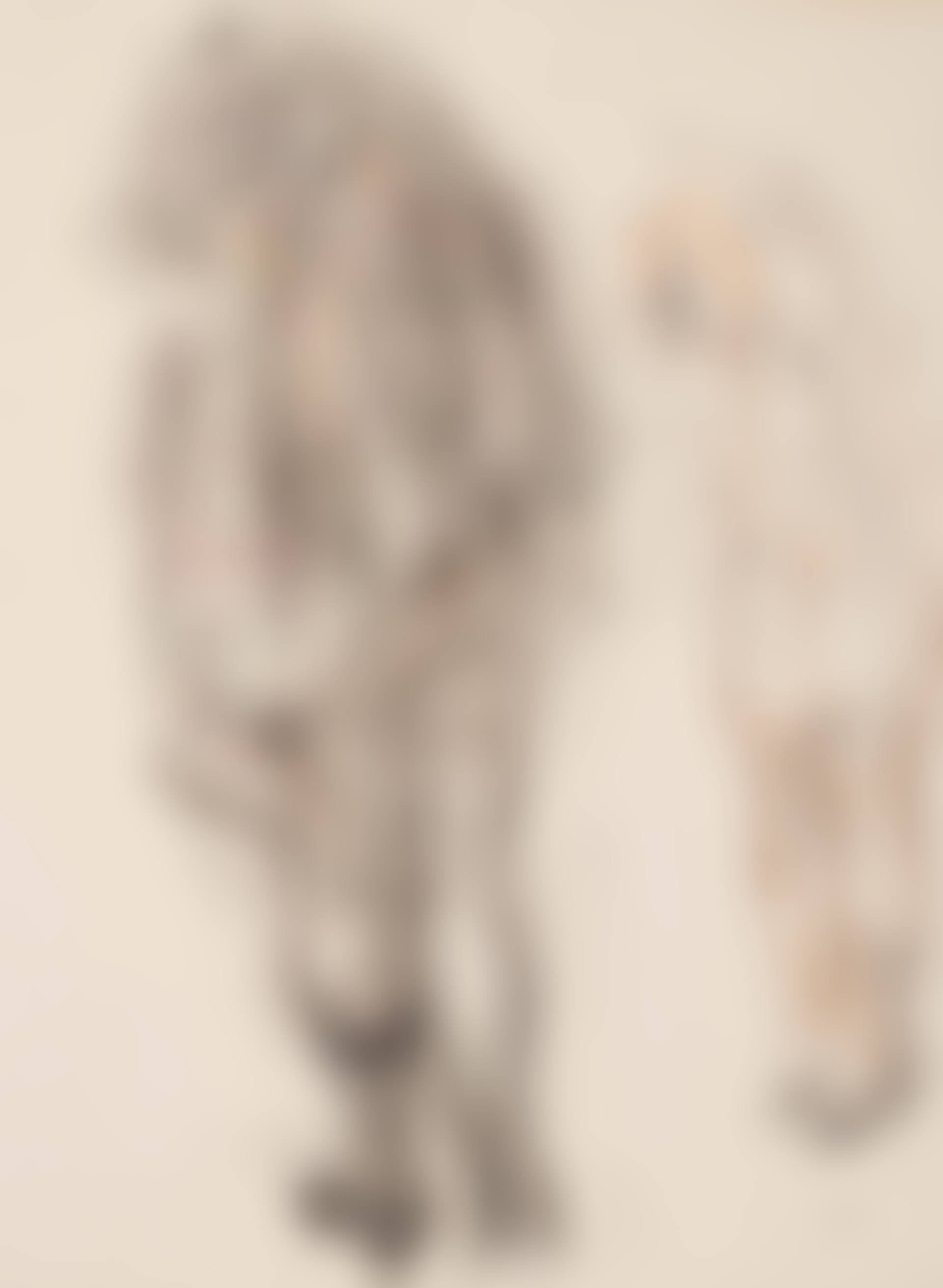 Woman Undressing (preview)