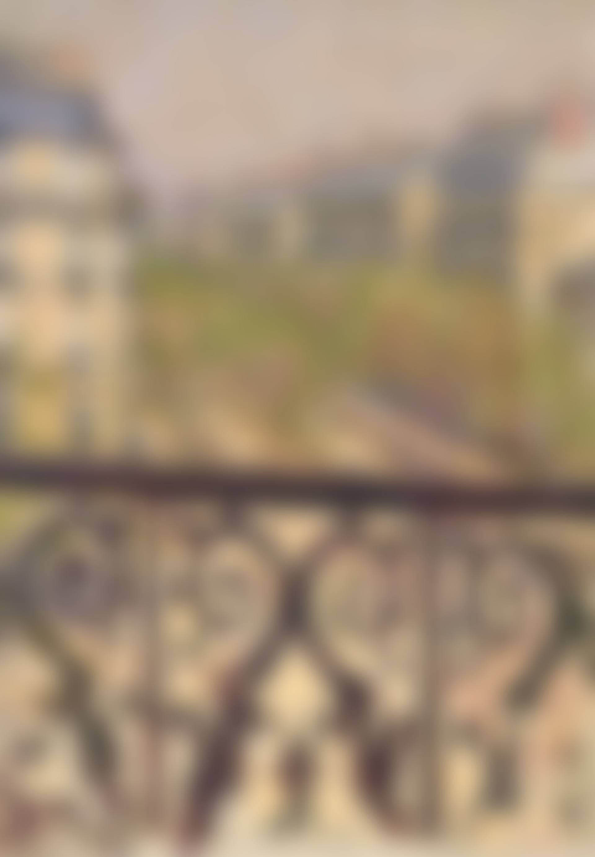 Un balcon, Boulevard Haussmann (preview)