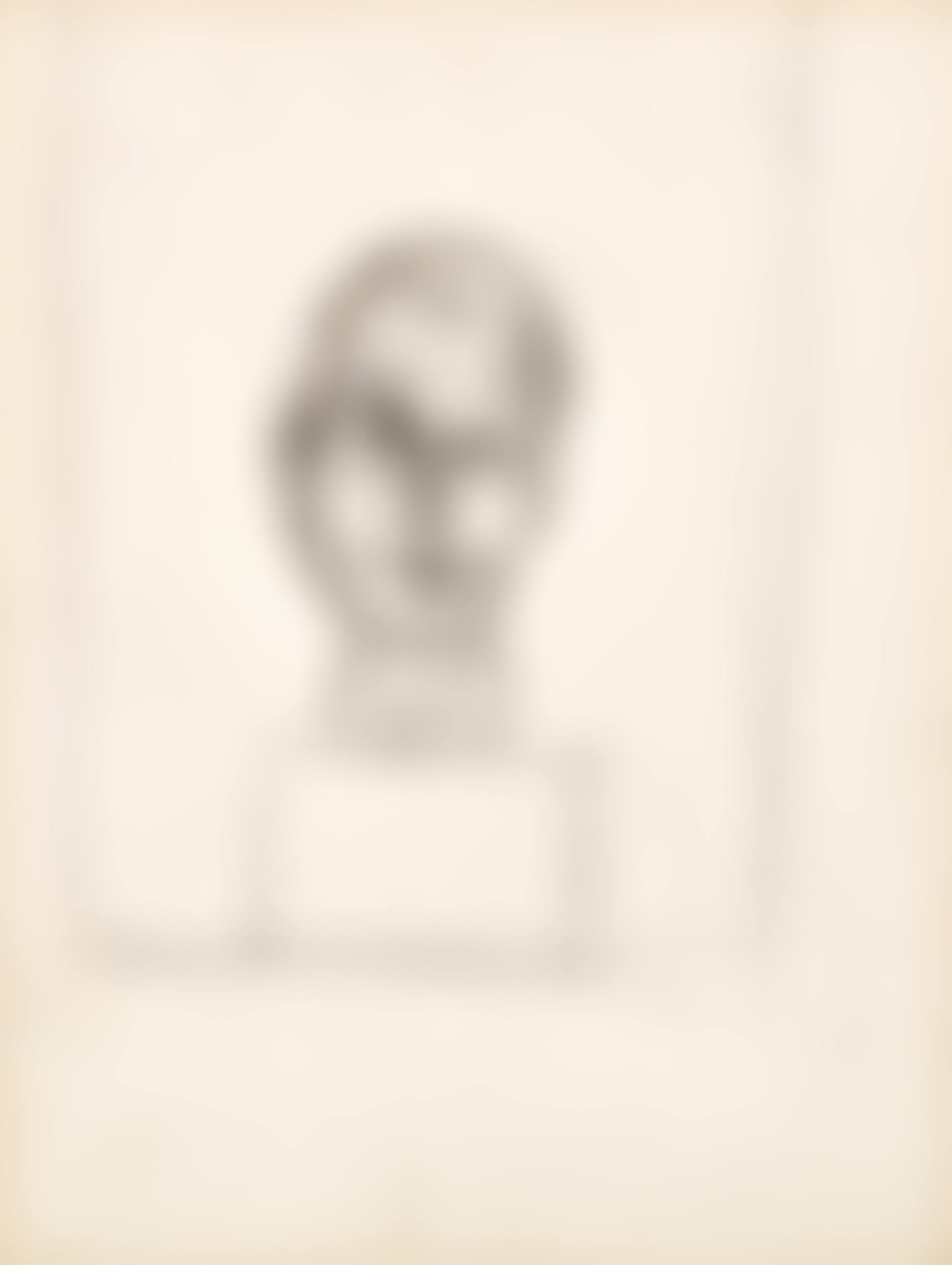 Tête de Georges Bataille, projet pour "Histoire de Rats (Journal de Dianus)" de Georges Bataille (preview)