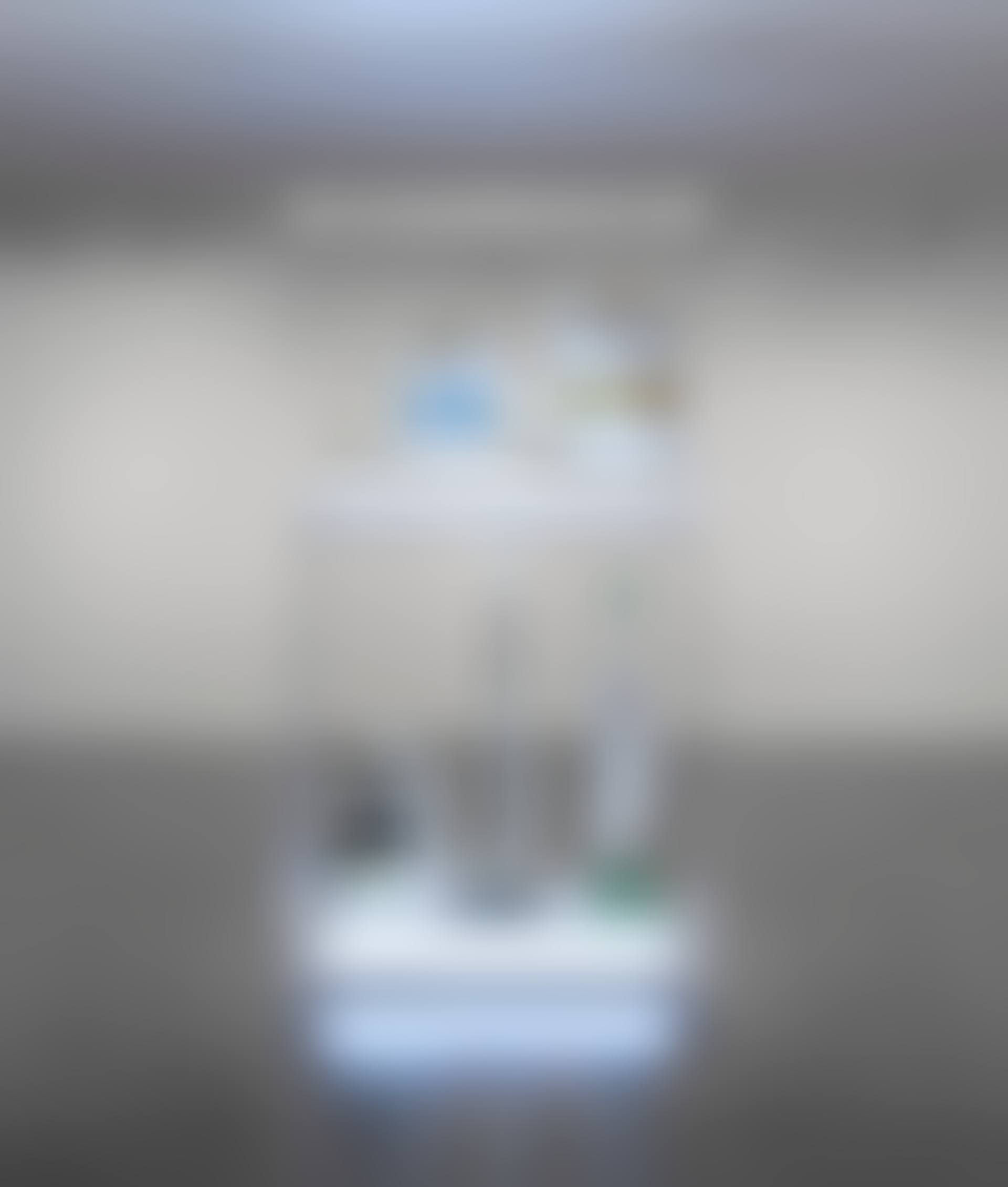 New Hoover Celebrity IV, New Hoover Convertible, New Shelton 5 Gallon Wet/Dry, New Shelton 10 Gallon Wet/Dry Doubledecker (preview)