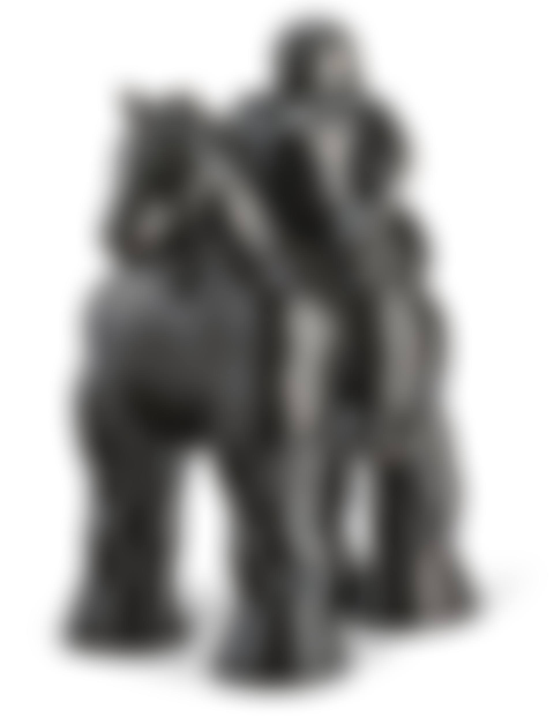 Woman on a Horse (preview)