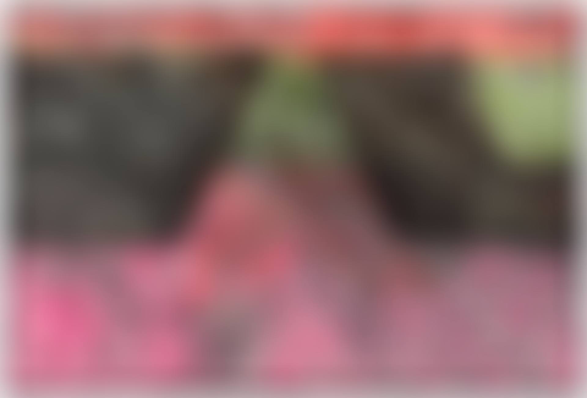 SP54 (preview)