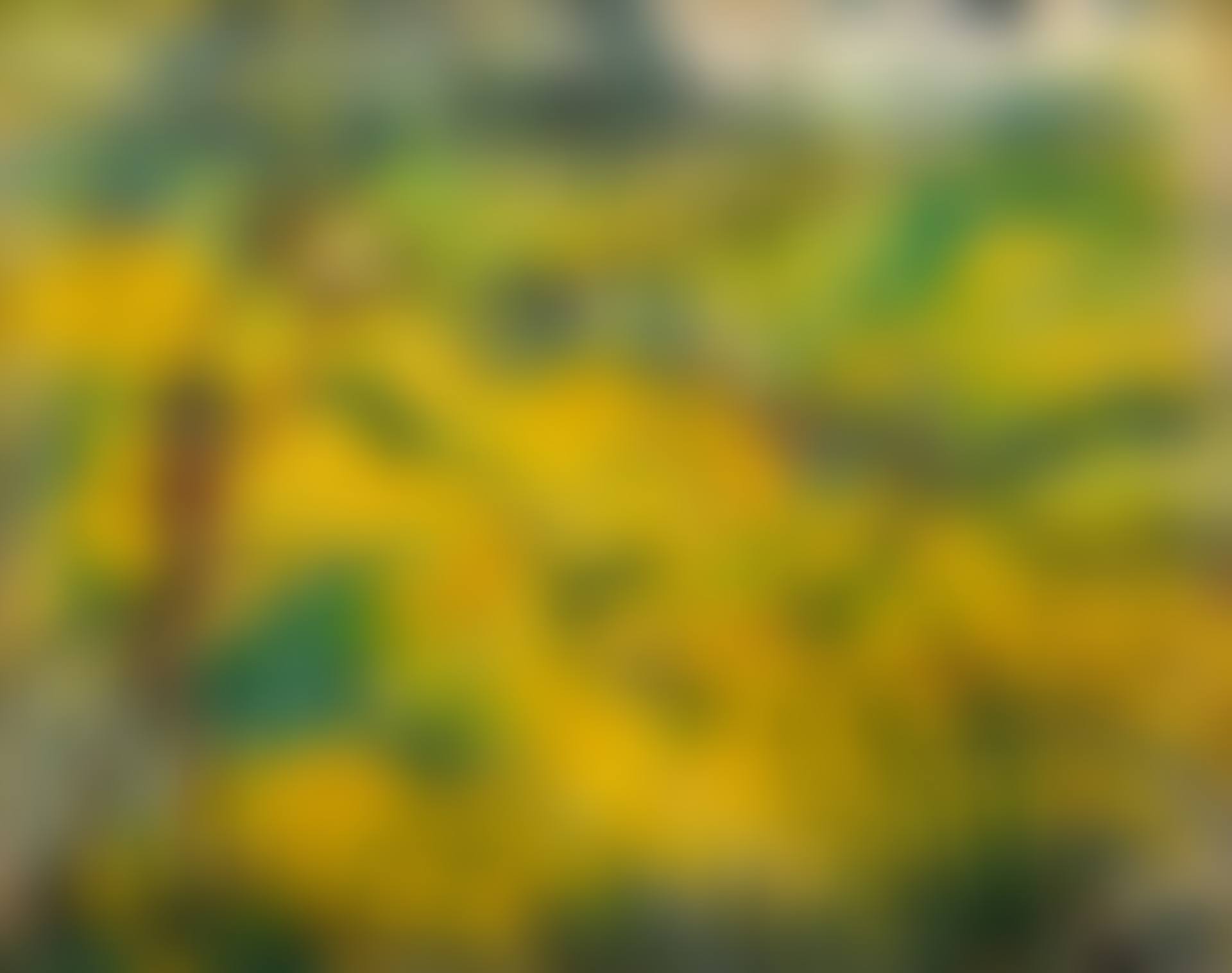 Farmer Boy in the Rice Field (preview)