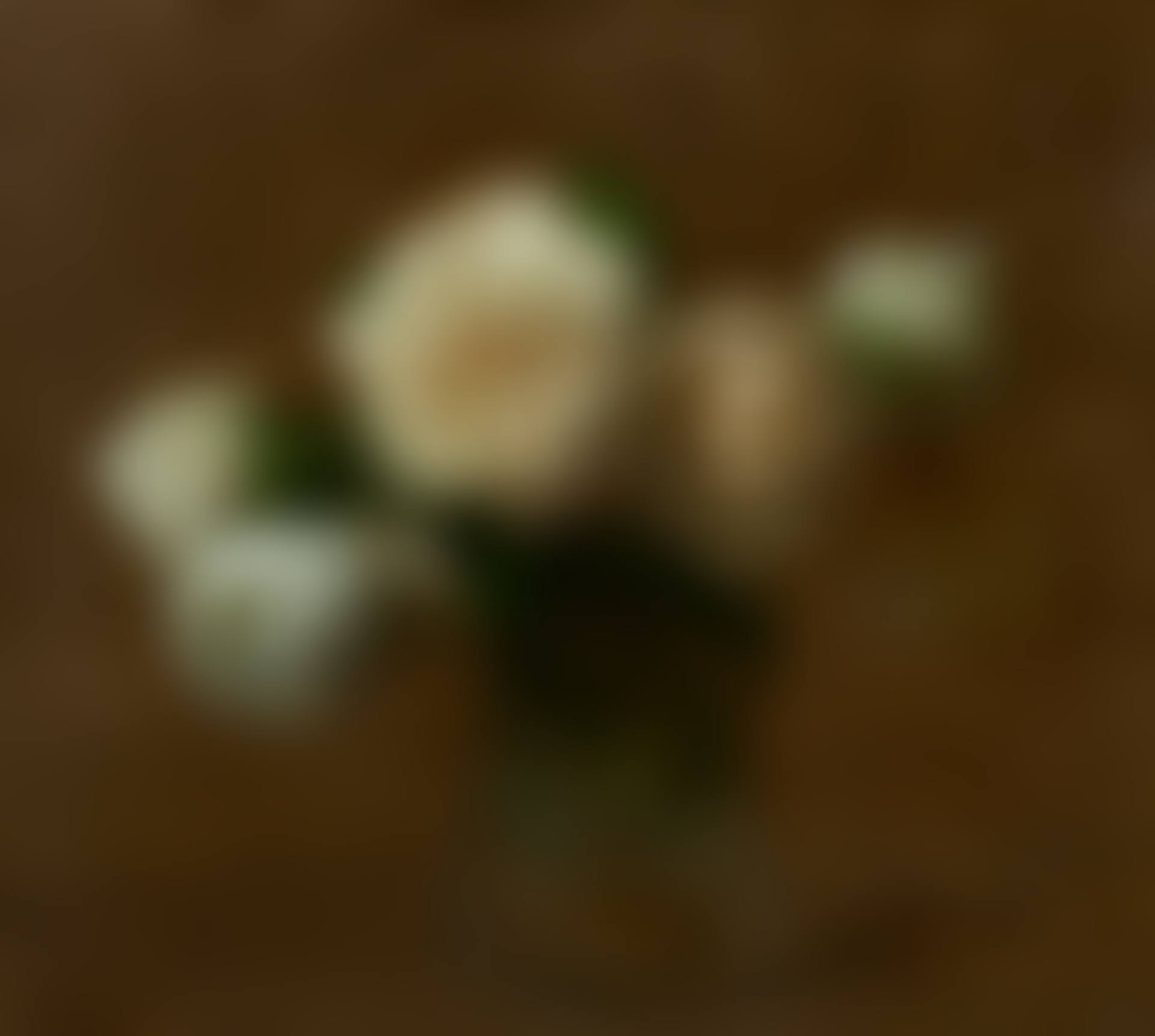 Six roses (preview)
