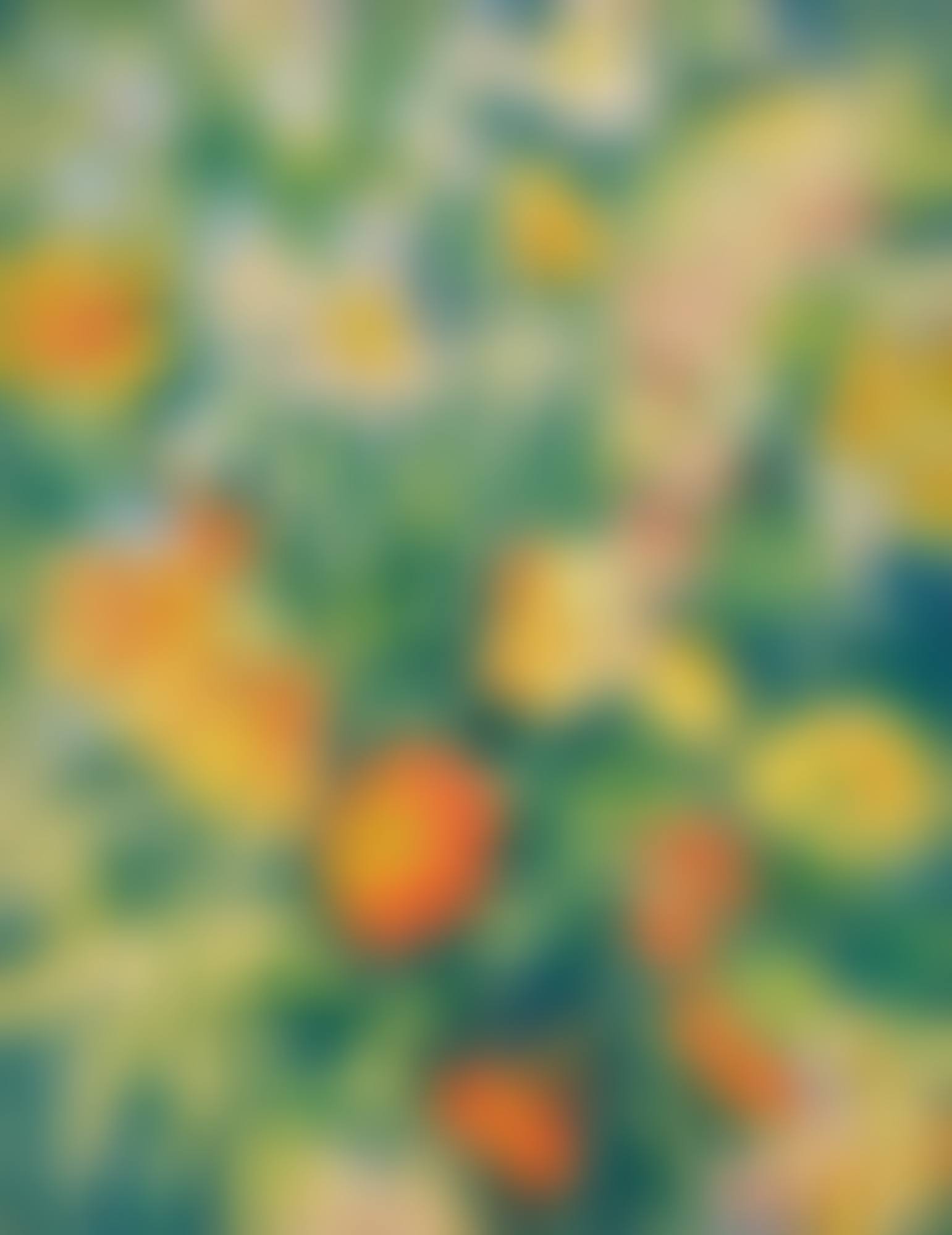 Salpiglossis, Marigold and Delphinium (preview)
