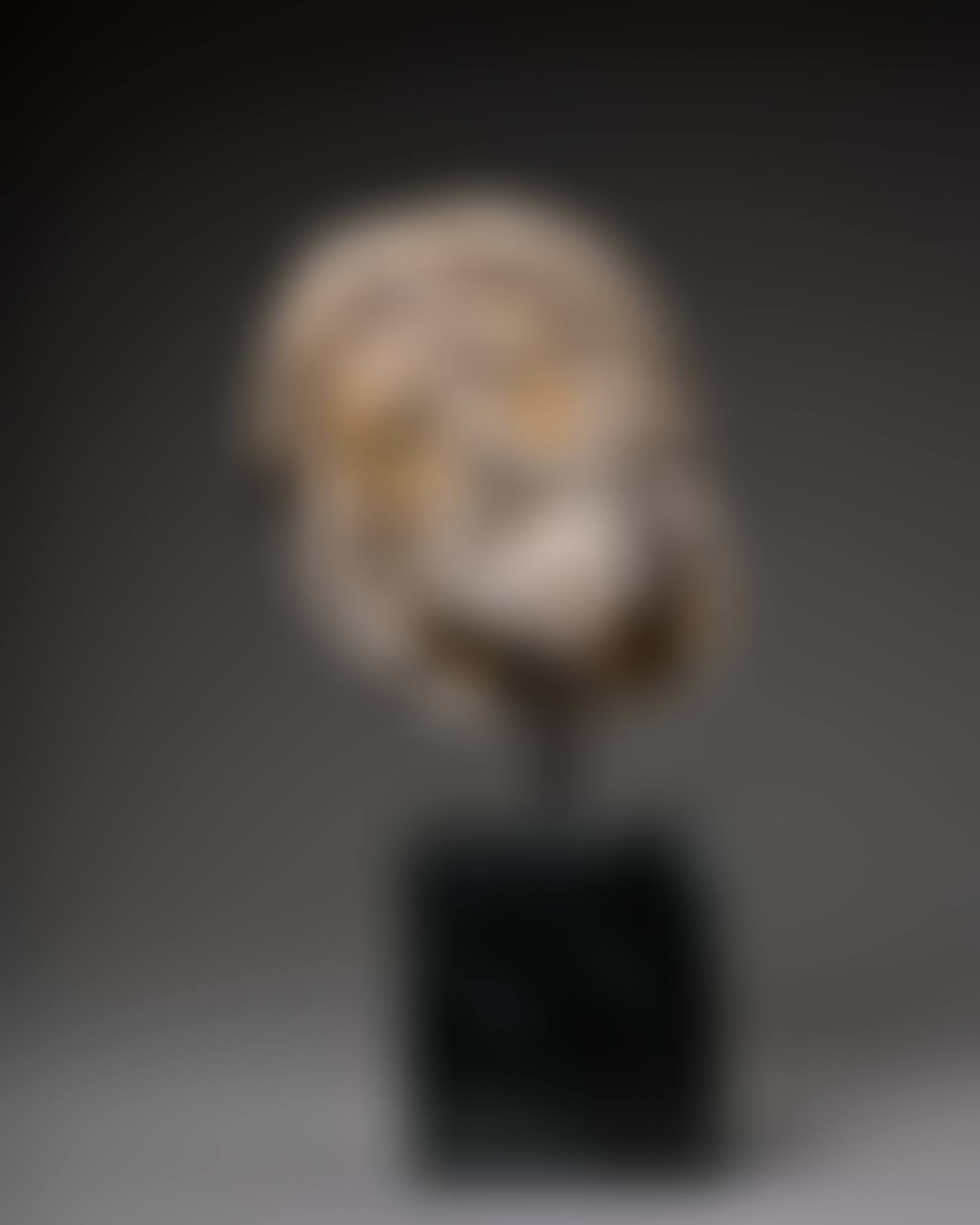 Head of Saint James (preview)