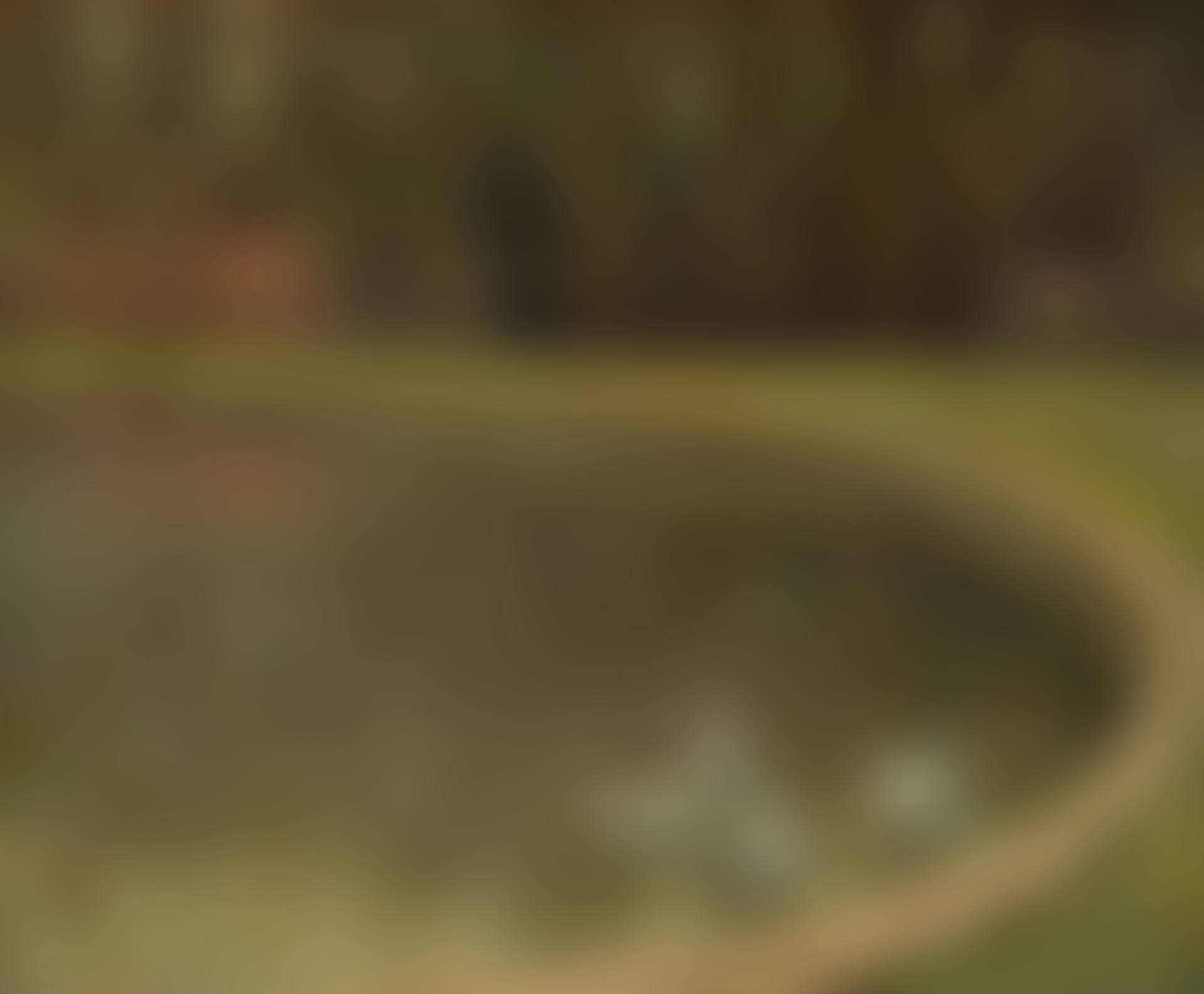 Les Cygnes, Versailles (preview)