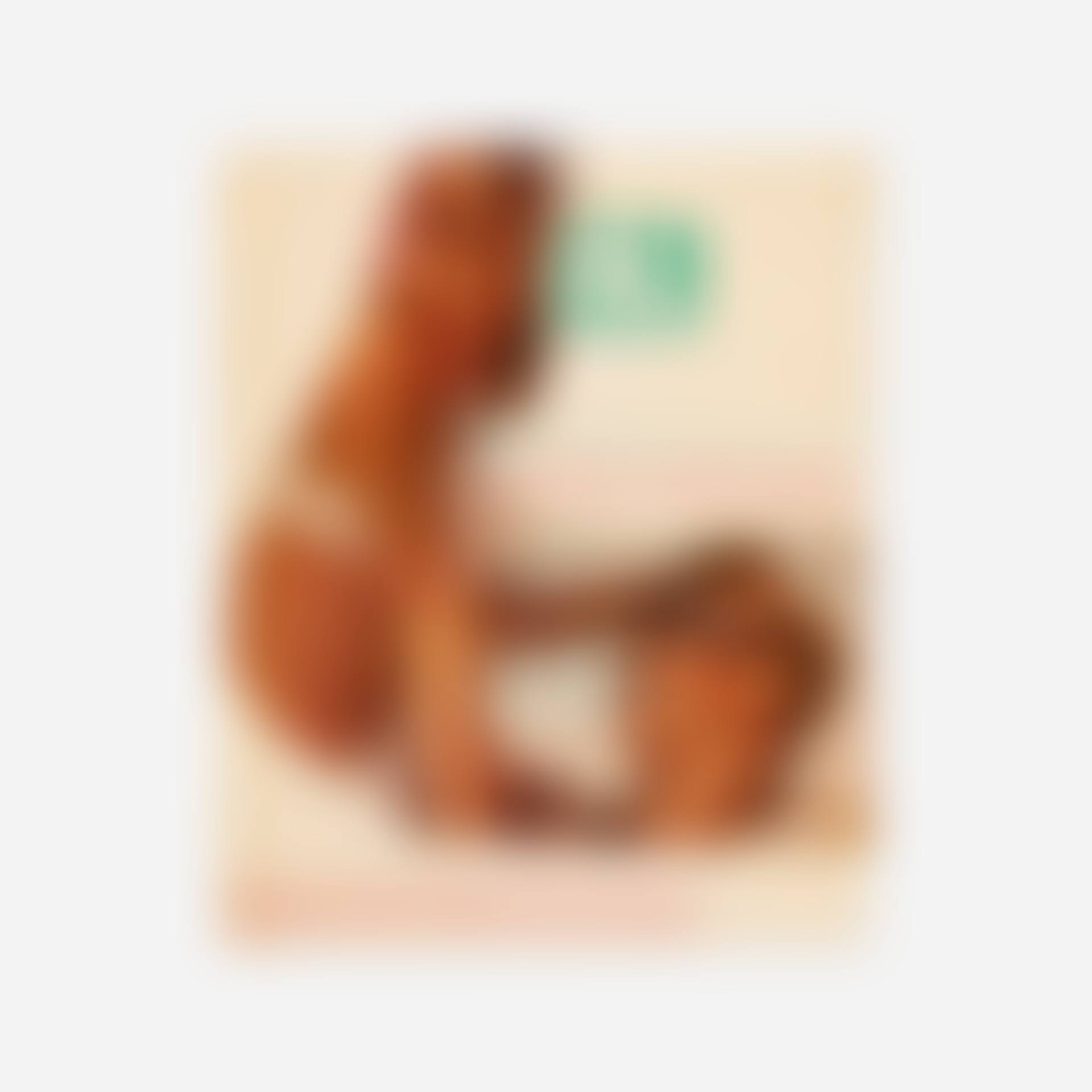 Pal (preview)