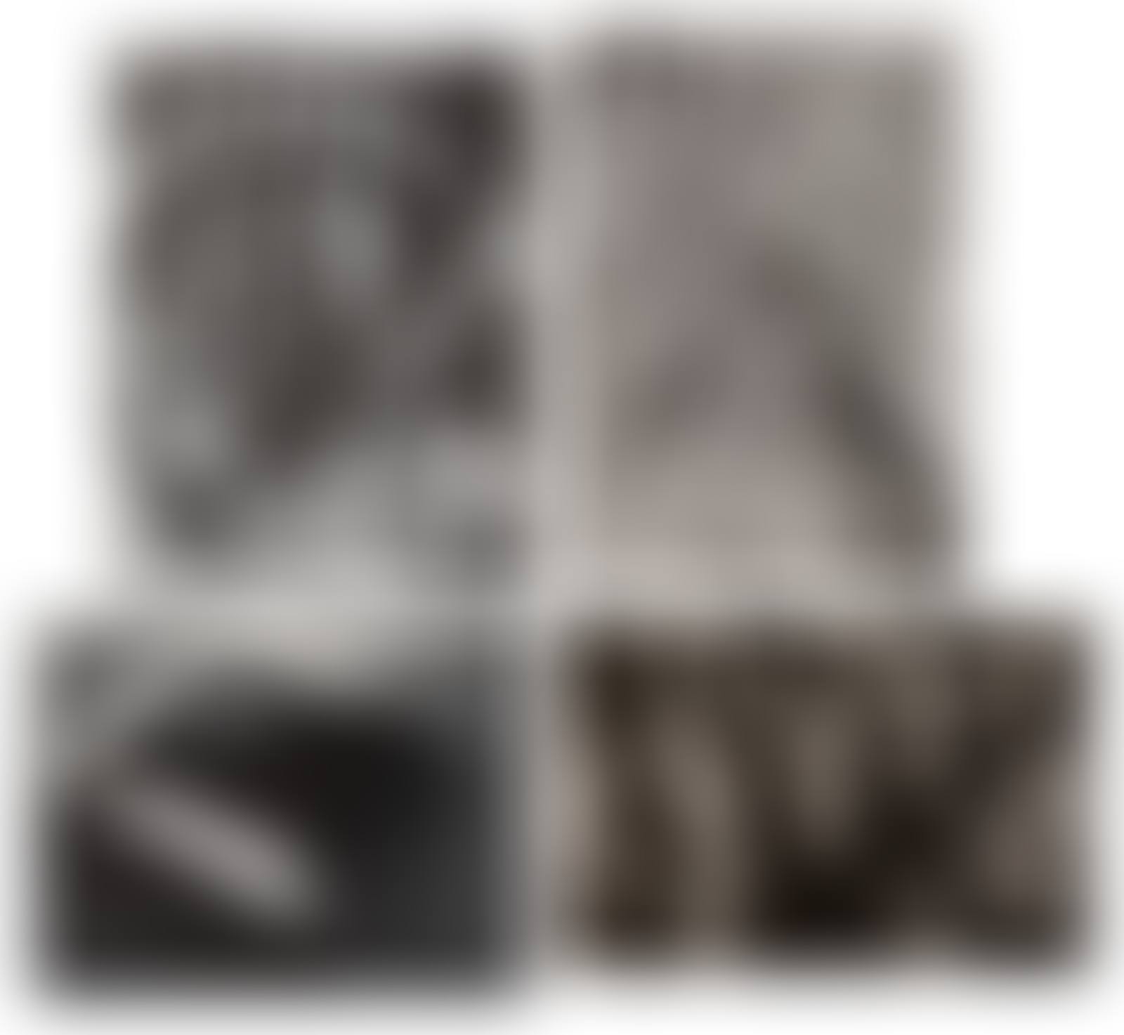 Group of 4 Photographs (preview)