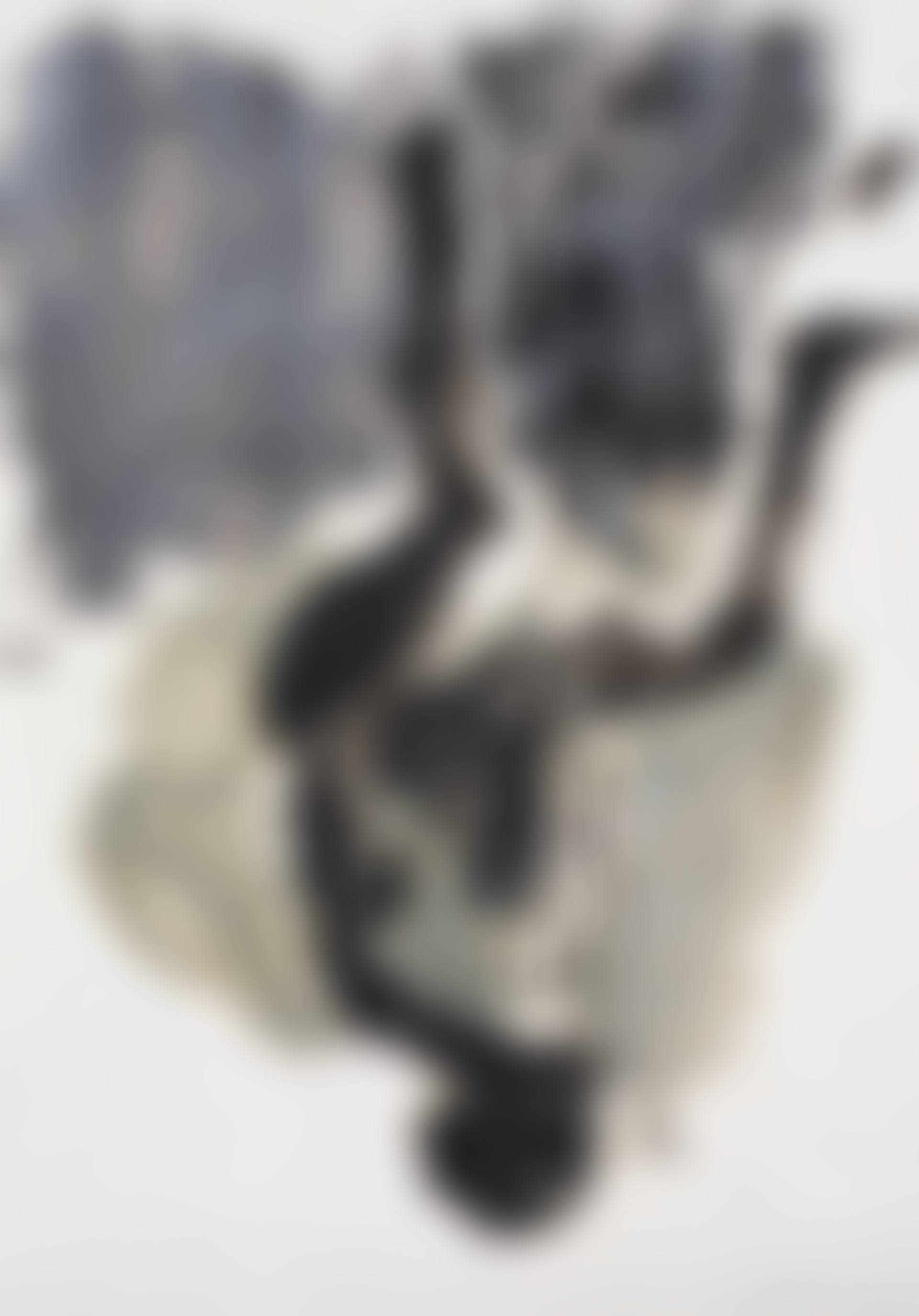 Ohne Titel (preview)