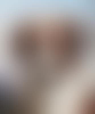 Kopf eines Bernhardiners (preview)