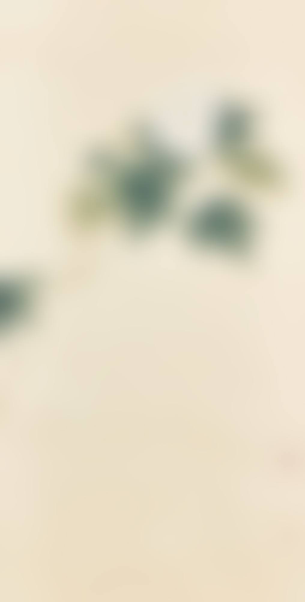 White Hibiscus (preview)