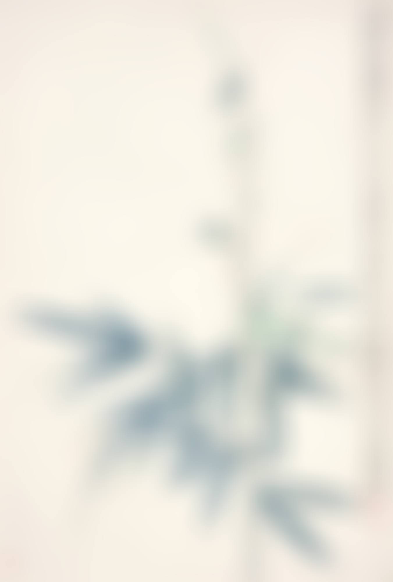 Bamboo (preview)
