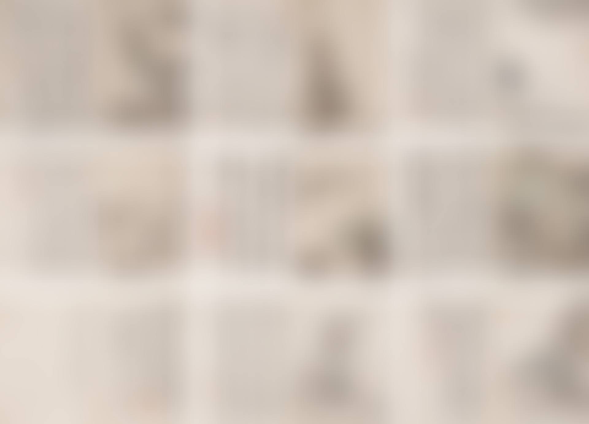 Calligraphy and Landscape Album (preview)