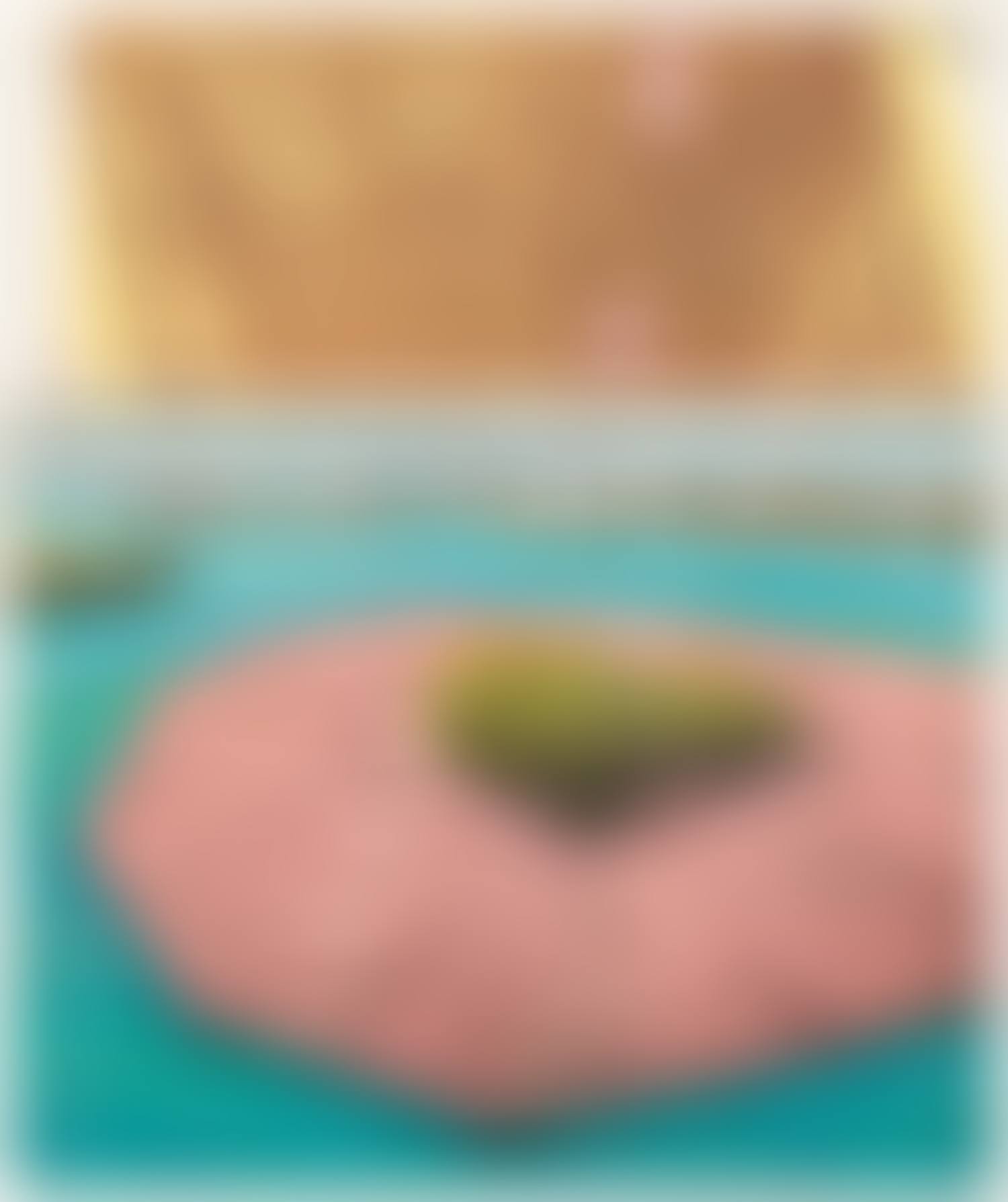Surrounded Islands (Project for Biscayne Bay) (preview)