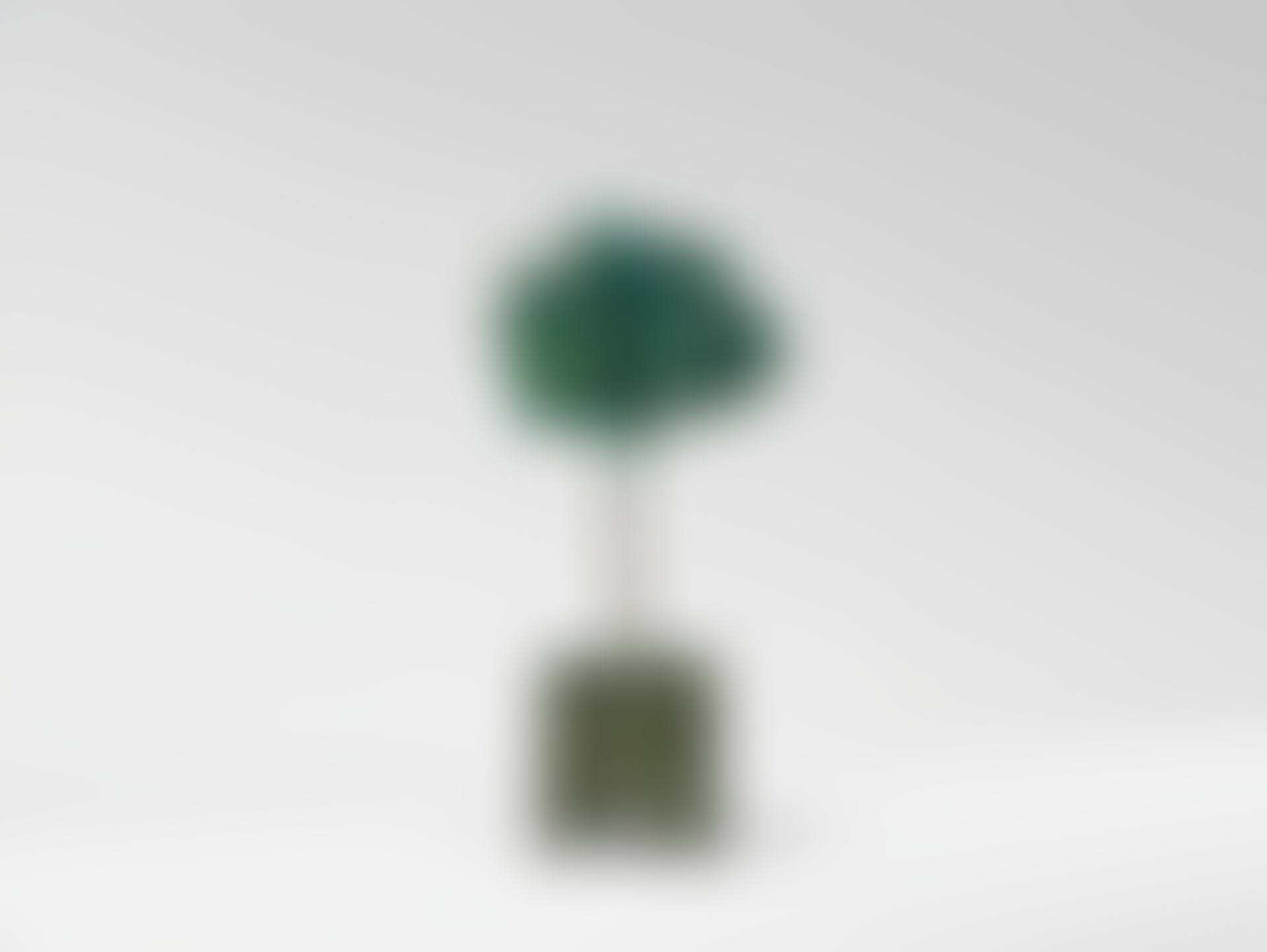 "Citronnier" (preview)