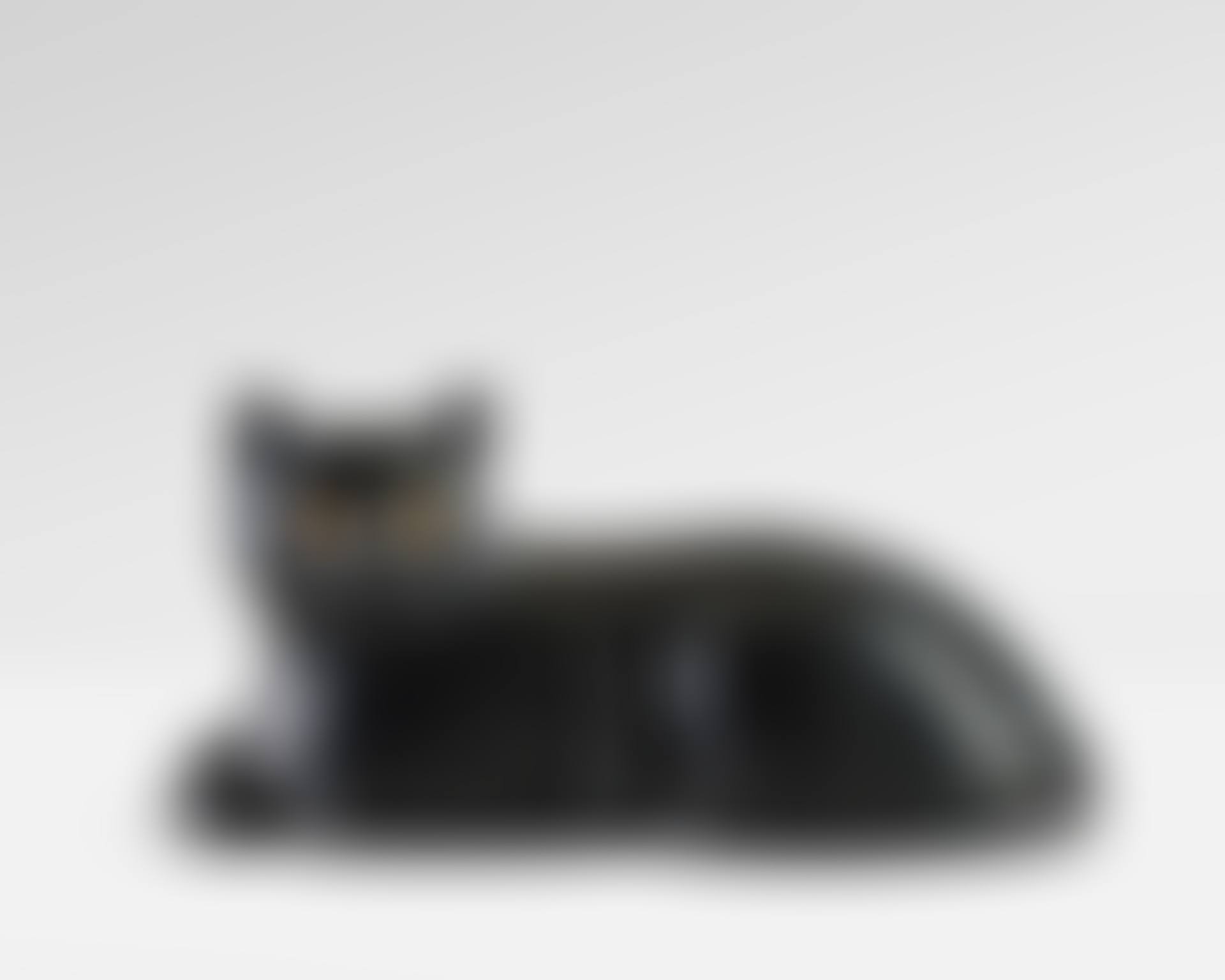"Le Chat" (preview)