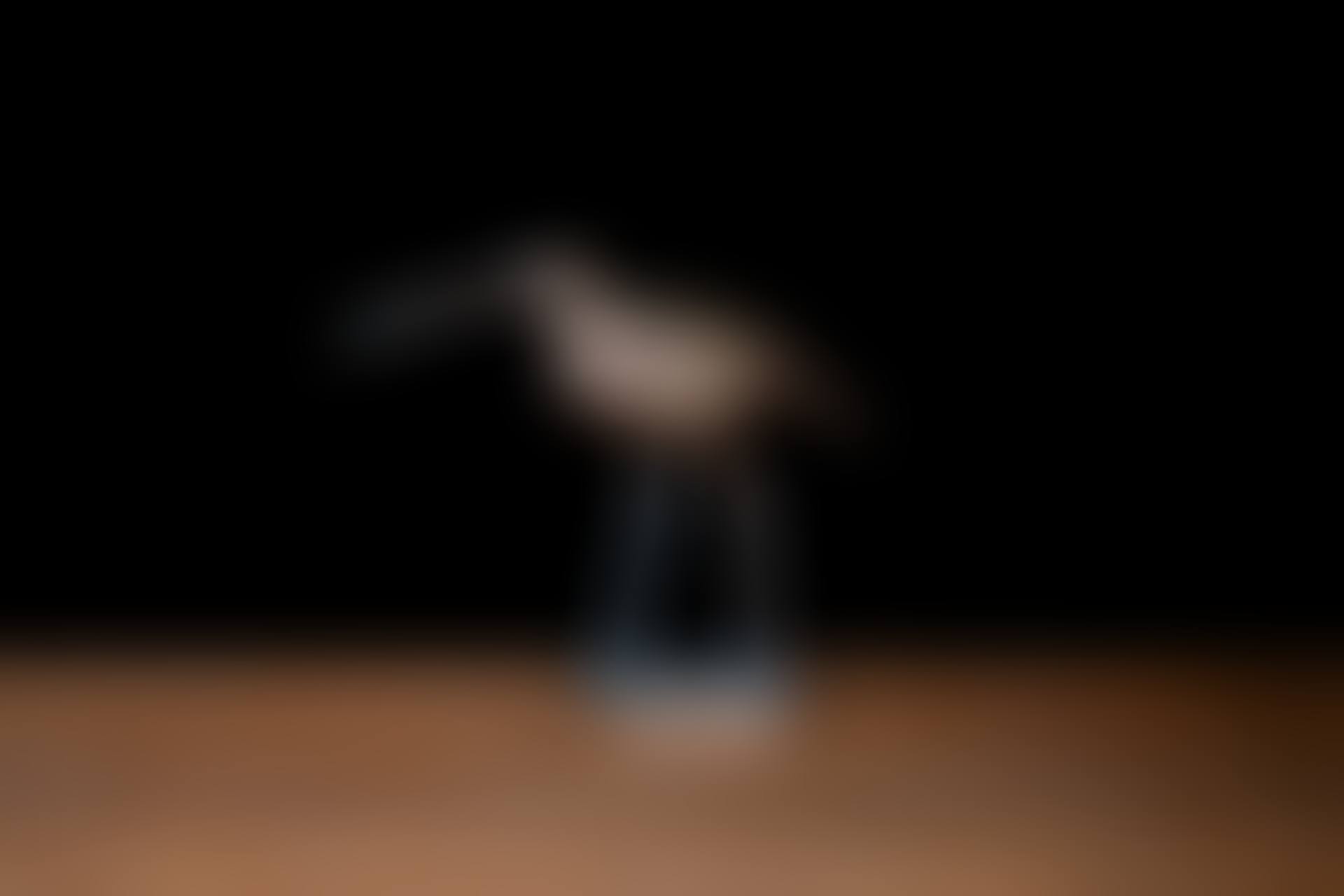 Sculpture dite « Suokurppa » (preview)
