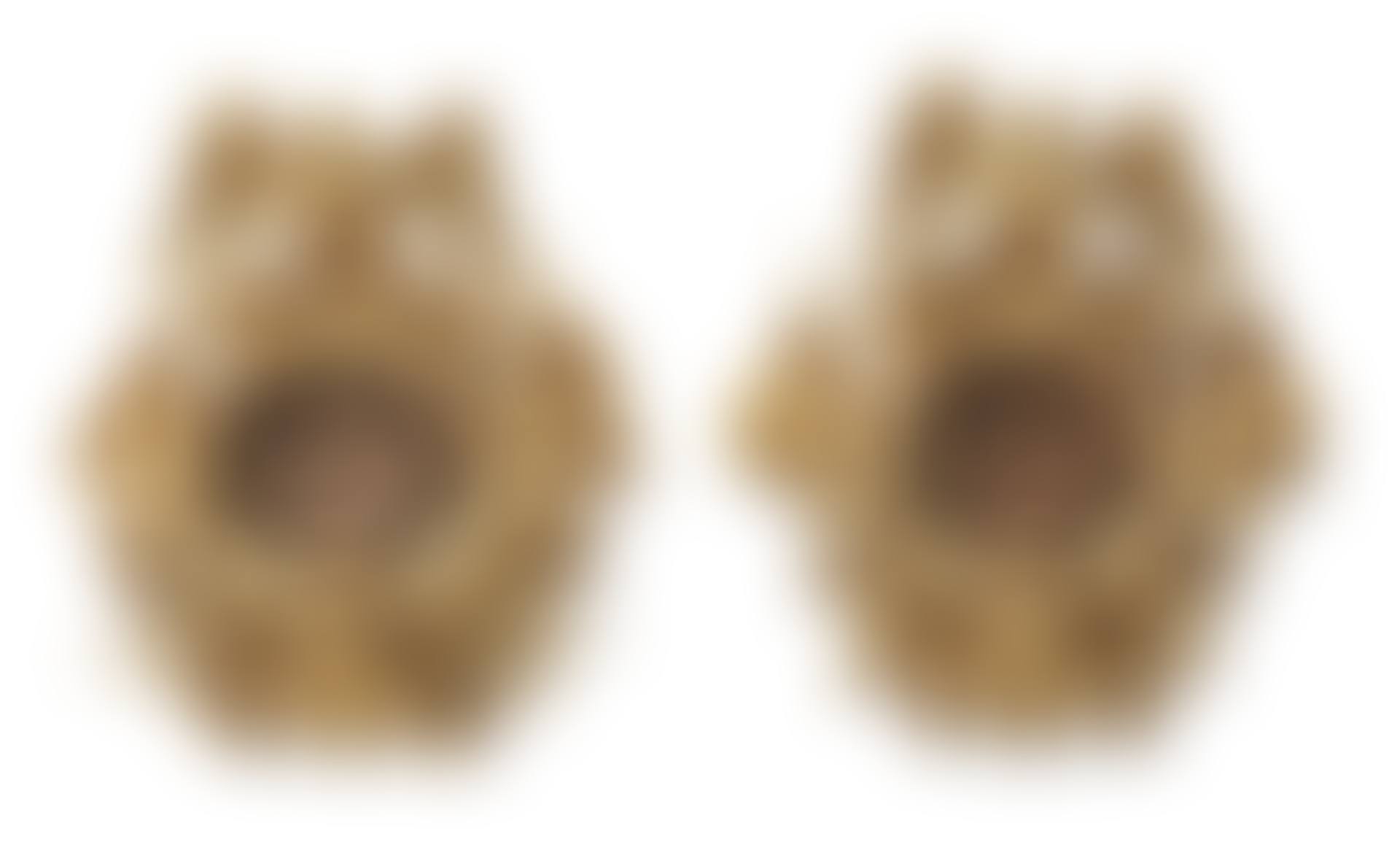 A pair of frames (preview)