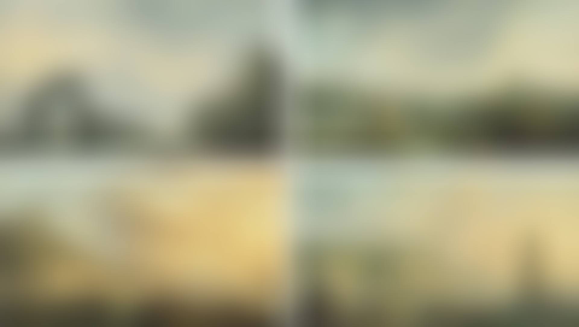 The Four Hours of the Day: Dawn Noon Sunset Evening (preview)