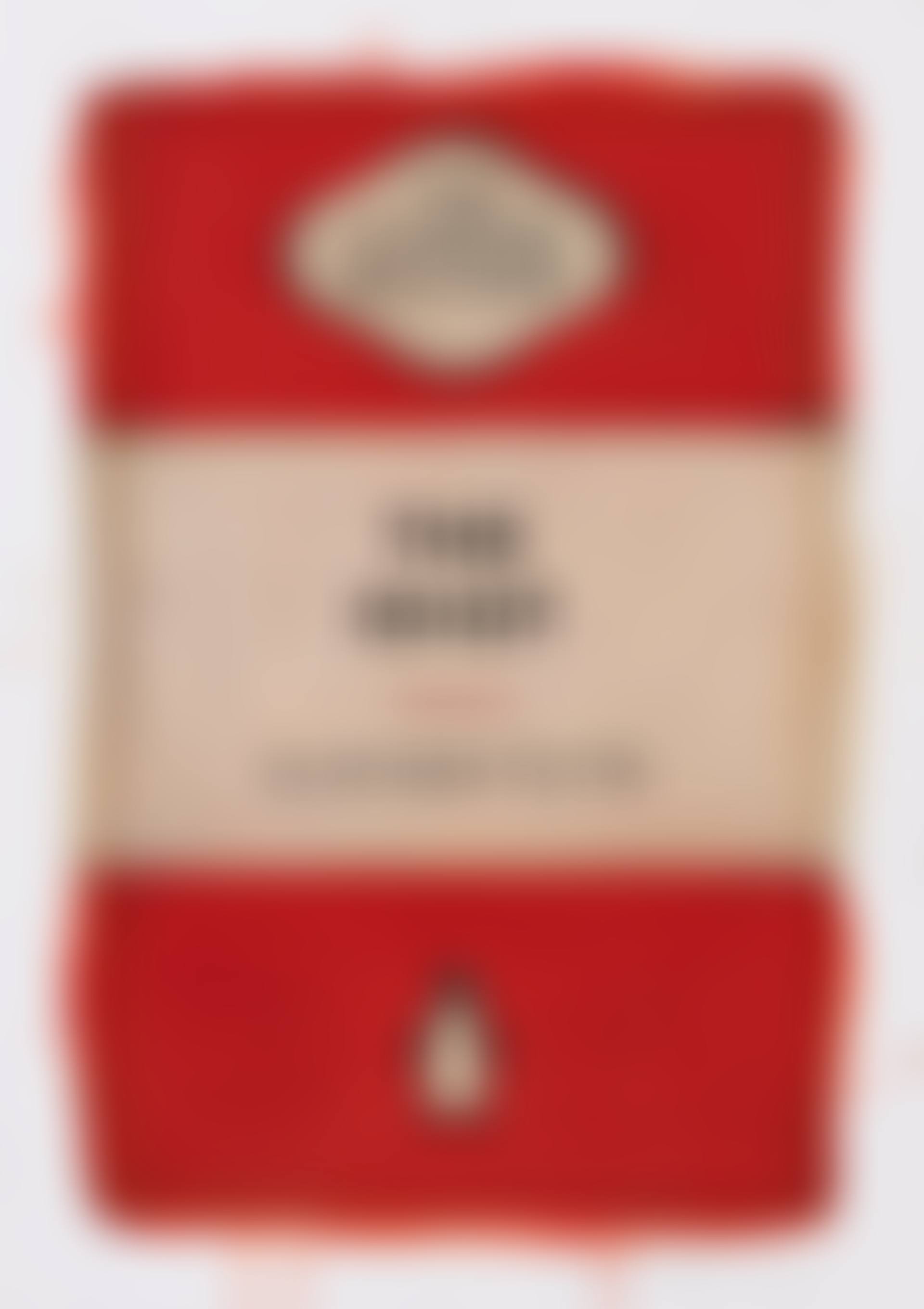 The Idiot (preview)