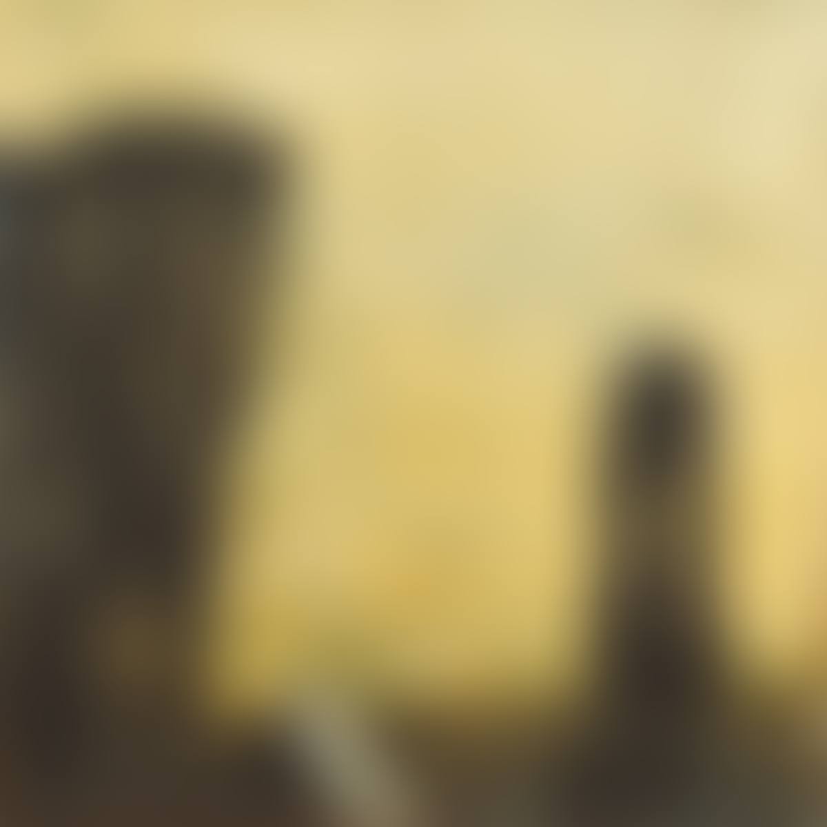 Architecture of the skies (preview)