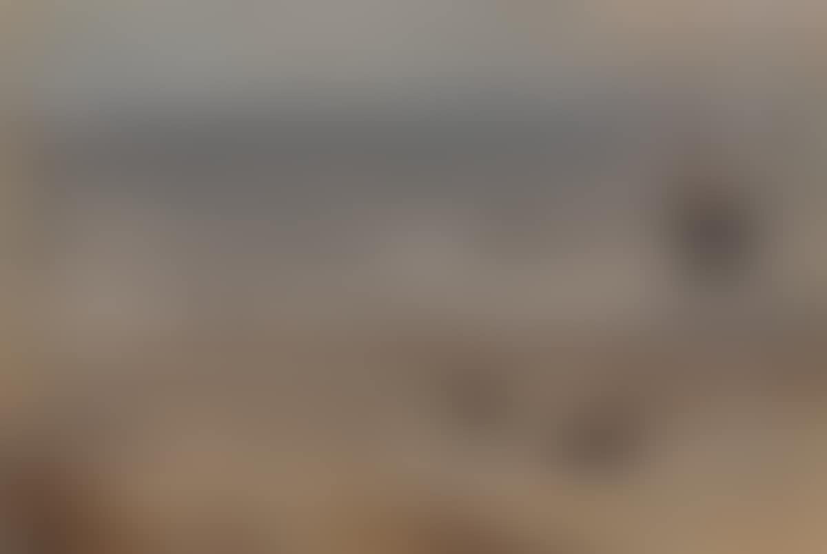 Beach Scene (preview)
