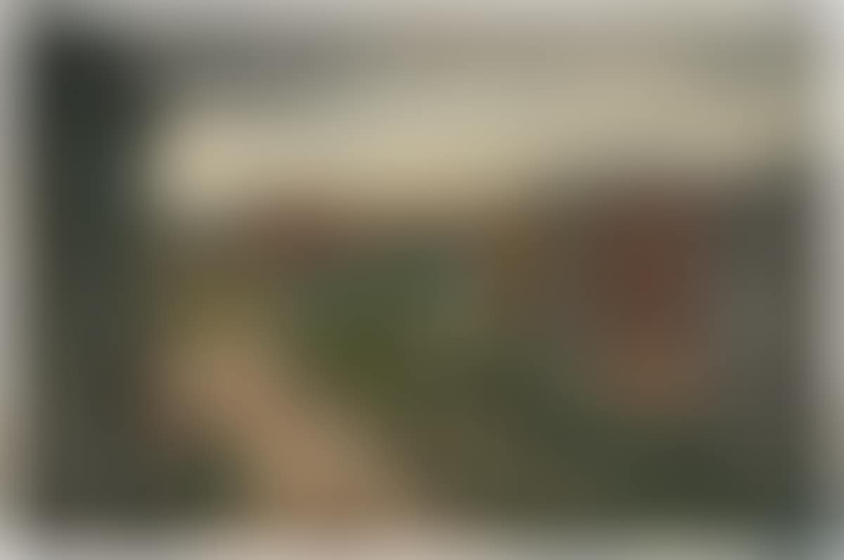 Two City Views in Spring and Winter. (preview)