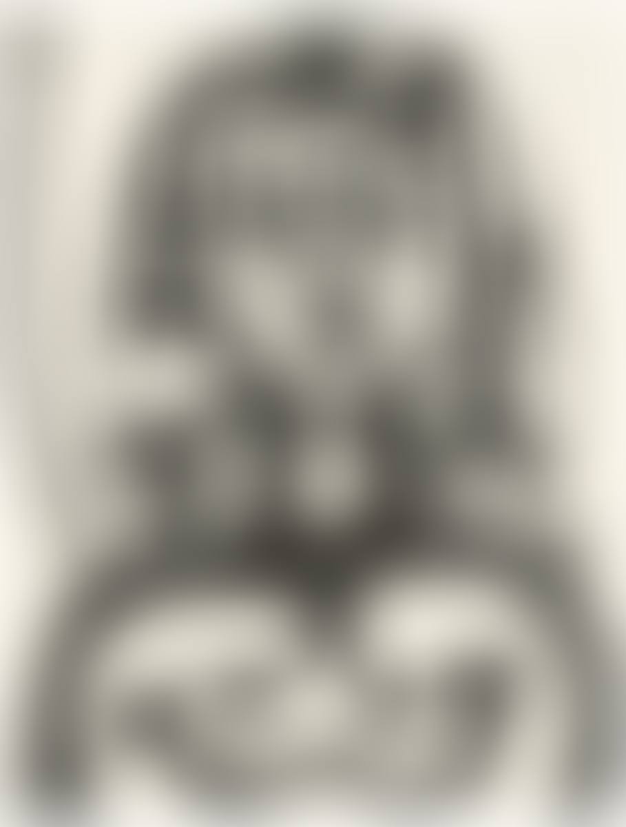 ”La femme à la résille” (”Femme aux cheveux verts”) (preview)