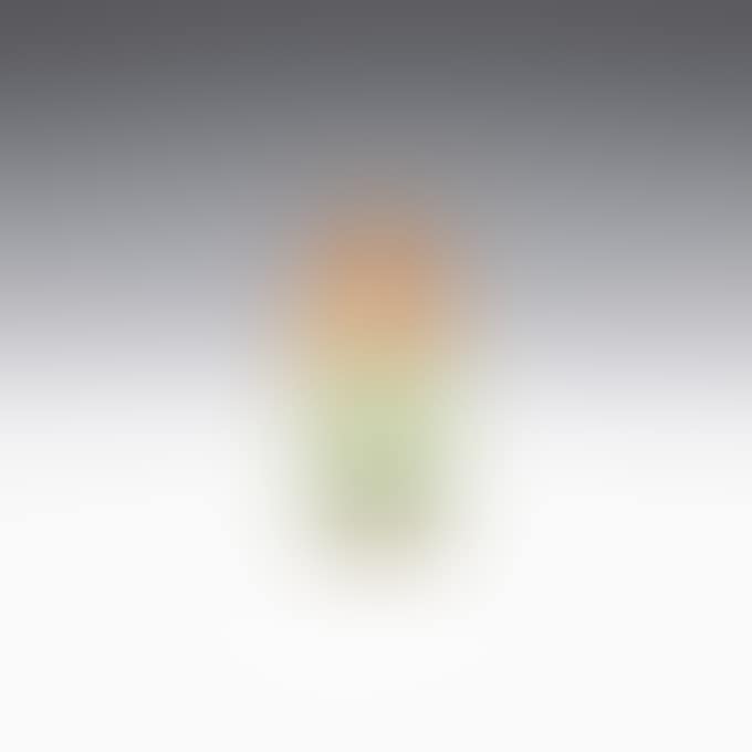 TULIP VASE (preview)