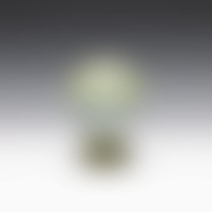LAKE SCENE VASE (preview)