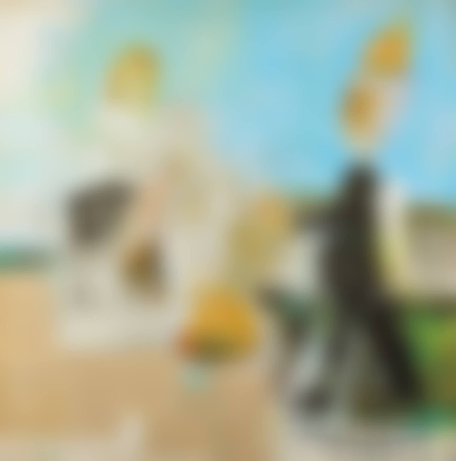 Untitled (preview)