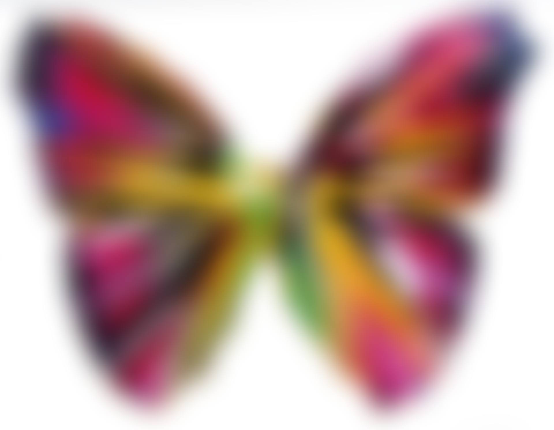 Spin Painting - Butterfly (preview)