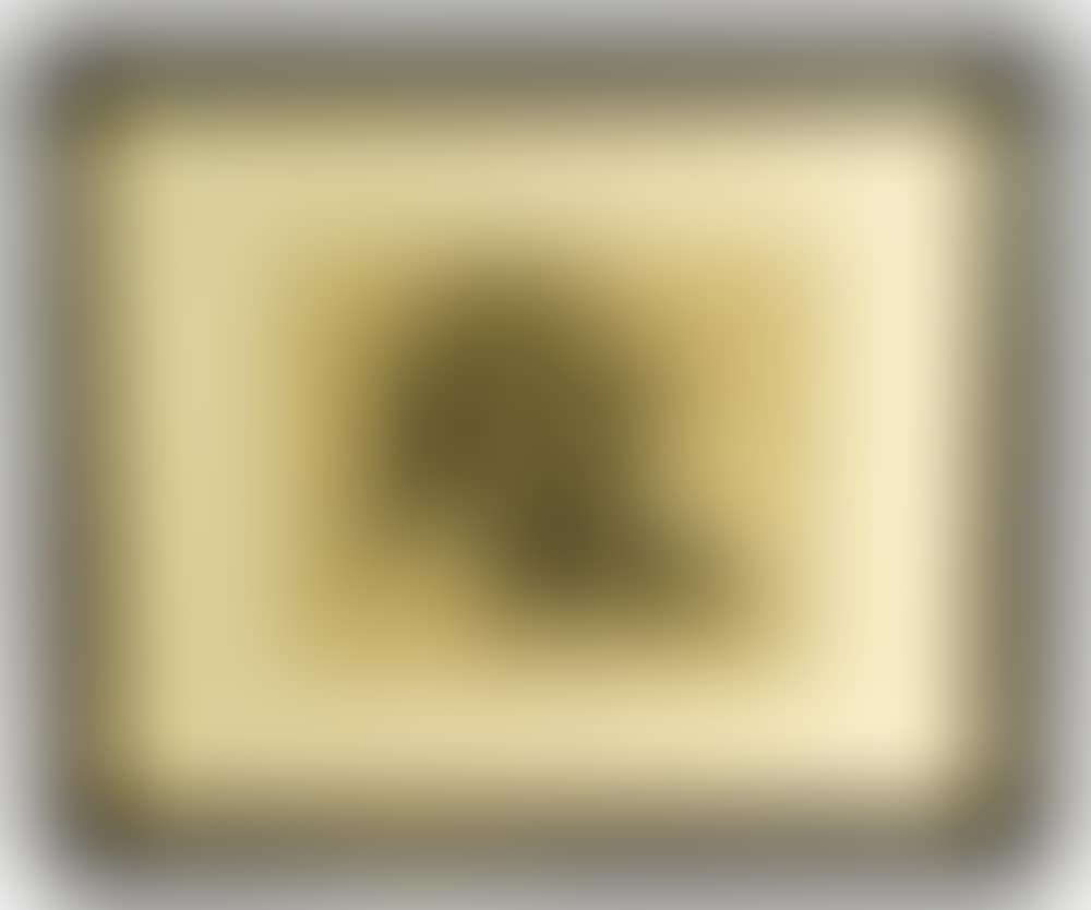 Self-Portrait (preview)