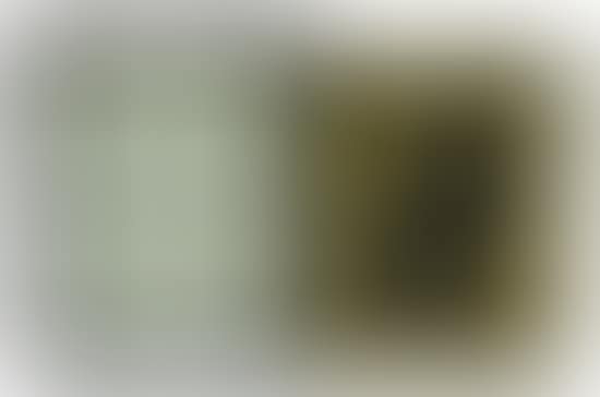 Untitled (preview)