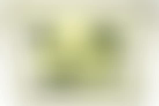 Two Nude Figures Seated (preview)